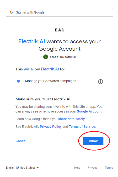 Allow Electrik.AI to access your Google Ads account.