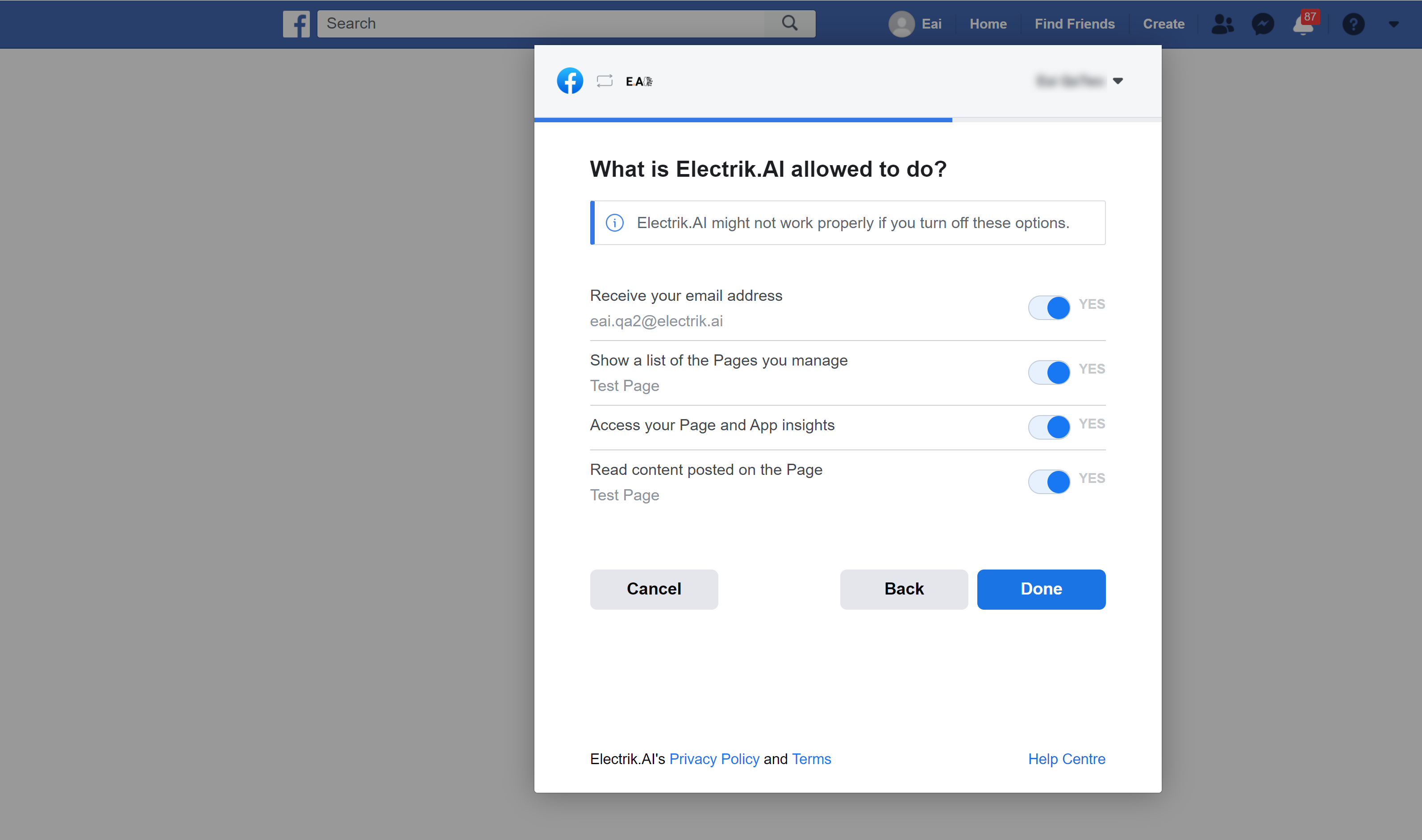Allow Electrik.AI to access your selected Facebook Page